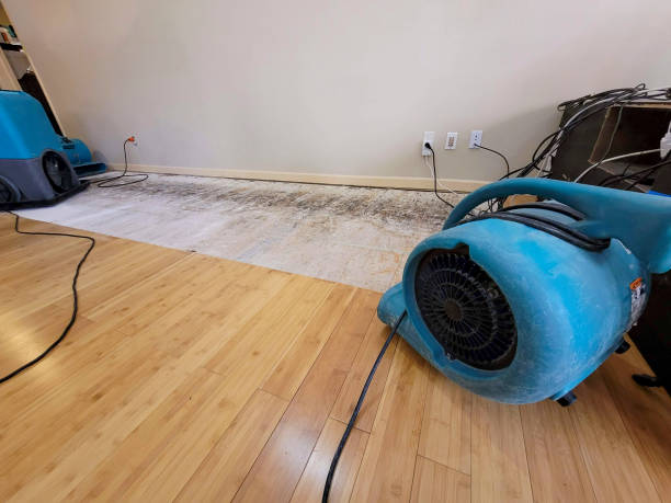 Professional Basement Flood Cleanup technician working in White House, TN